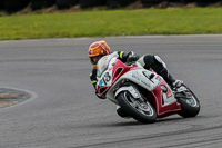 PJ-Motorsport-2019;anglesey-no-limits-trackday;anglesey-photographs;anglesey-trackday-photographs;enduro-digital-images;event-digital-images;eventdigitalimages;no-limits-trackdays;peter-wileman-photography;racing-digital-images;trac-mon;trackday-digital-images;trackday-photos;ty-croes